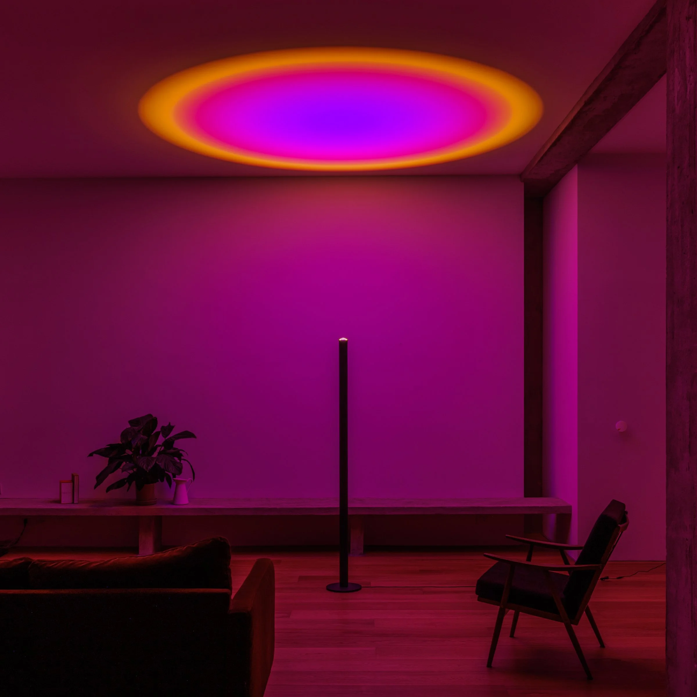 Halo Bold — Mandalaki Studio Official